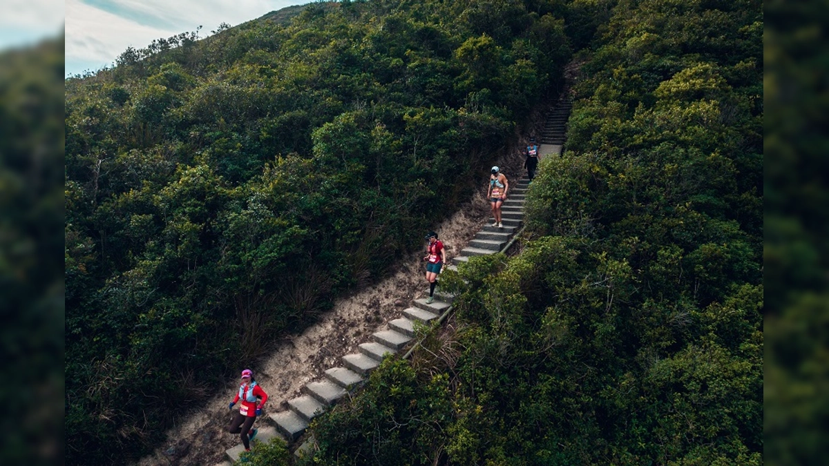 14ª Anta Hong Kong 100 Ultramarathon 2024: Lin Chen Domina y Meng Arrebata la Victoria en el Debut del World Trail Majors