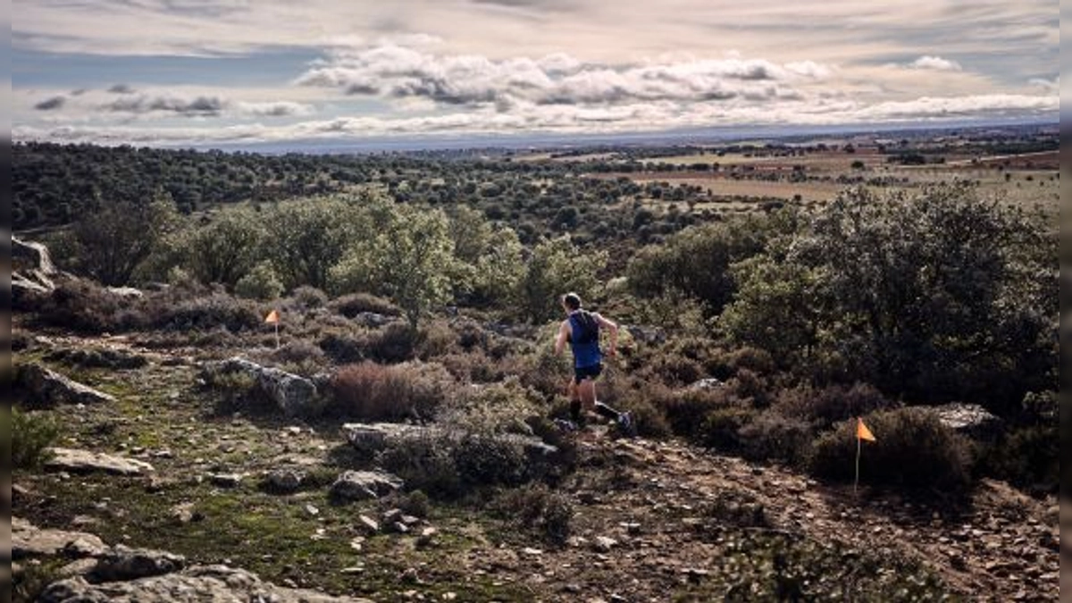 Trail Carpurias 19 de Noviembre: Descubre la Riqueza Natural y Cultural de la Sierra de Carpurias en Zamora