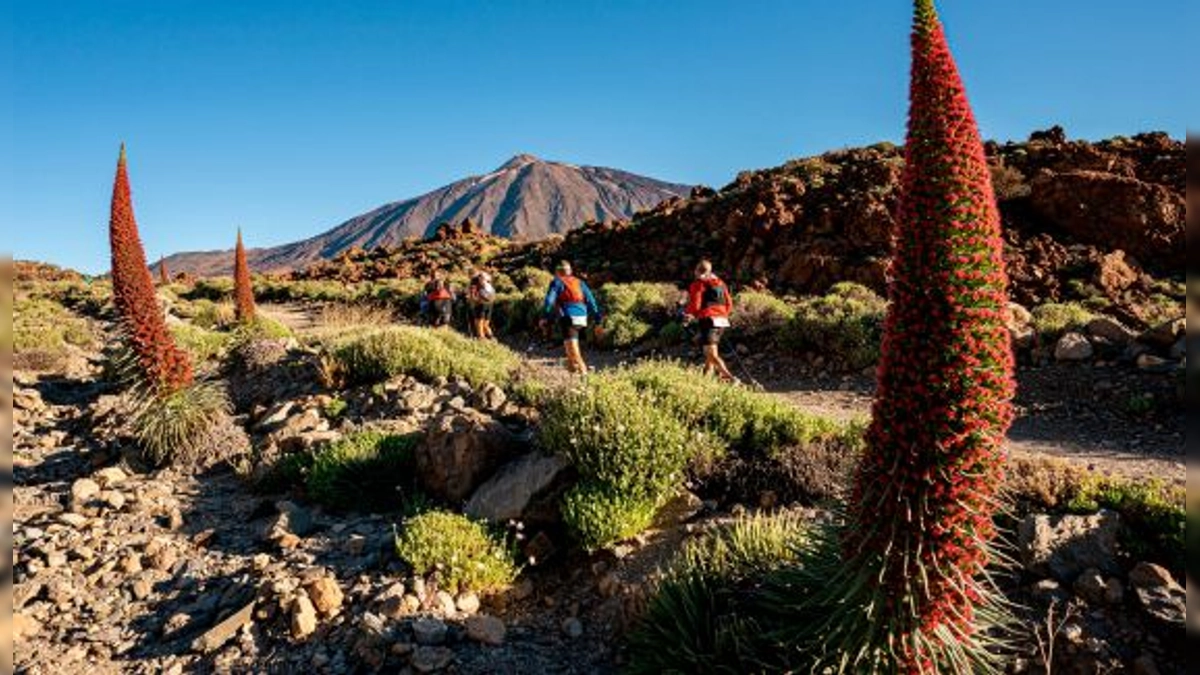 Tenerife Bluetrail 2024: Únete al Circuito UTMB® World Series y Gana Running Stones del 6 al 8 de Junio