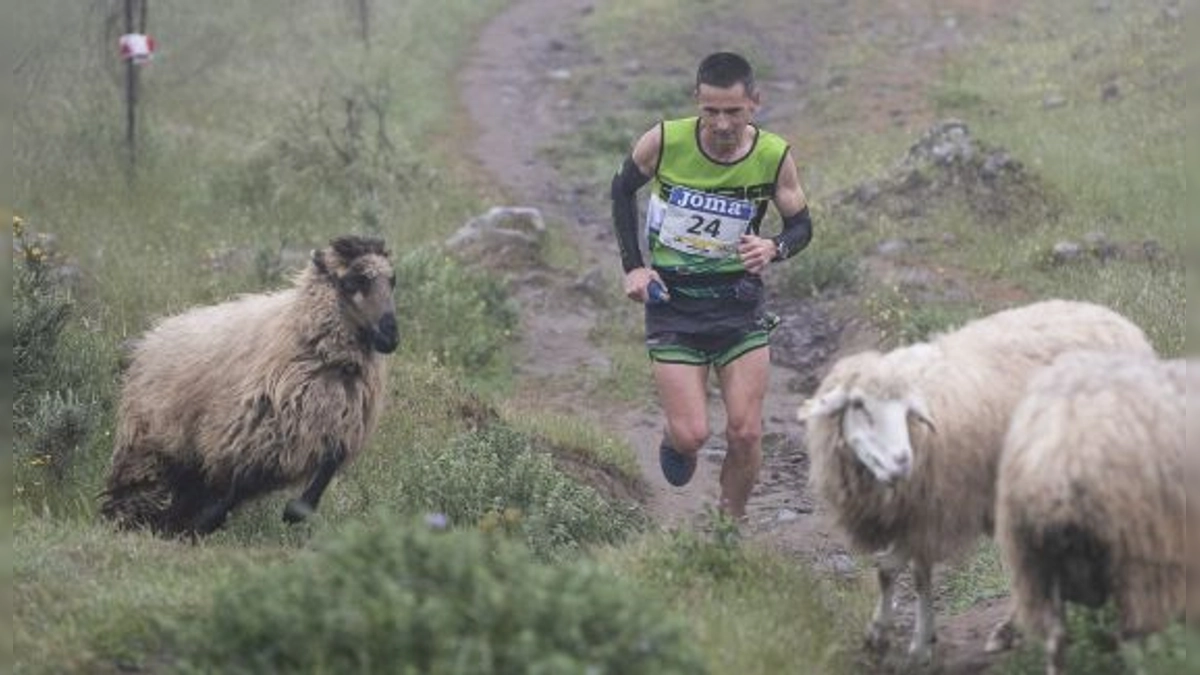 Inscripciones Abiertas para la 13ª Carrera de Montaña Entre Cortijos en Santa María de Guía: Modalidades de 7, 15 y 26 km - Sky Fecamon Tour