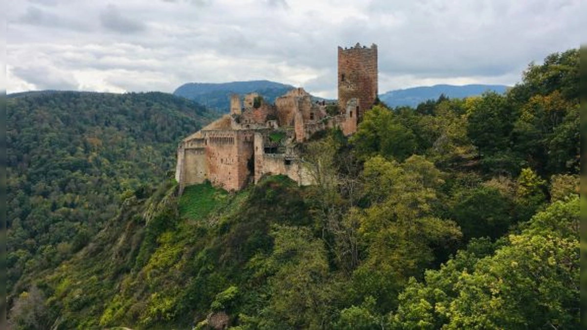 Naturaleza y Tradición en el Primer Trail Alsace Grand Est by UTMB®