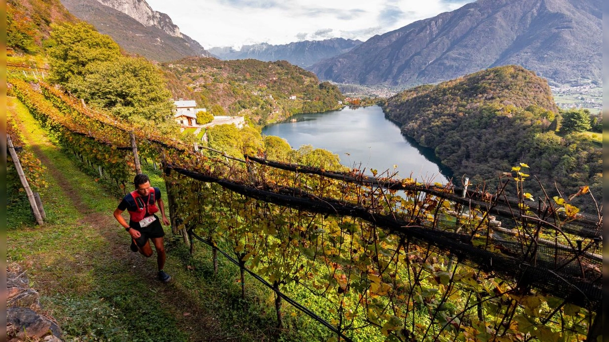 Valle del Segni Wine Trail 2024: Corre entre Viñedos y Grabados Rupestres en Darfo Boario Terme el 26-27 de Octubre