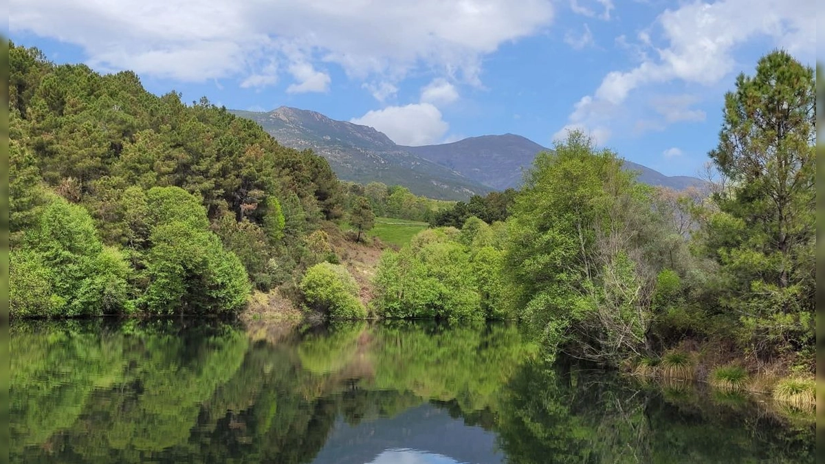 Trail Boca del Lobo 2024: Carrera de Montaña en Lanzahita, Ávila el 27 de Octubre con Recorridos de 22,6 km y 12,5 km