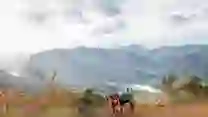 8ª Edición de la Sobrescobio Redes Trail en Rioseco: Desafío de Trail Running con vista espectacular y actividades para todos en el Parque Natural de Redes