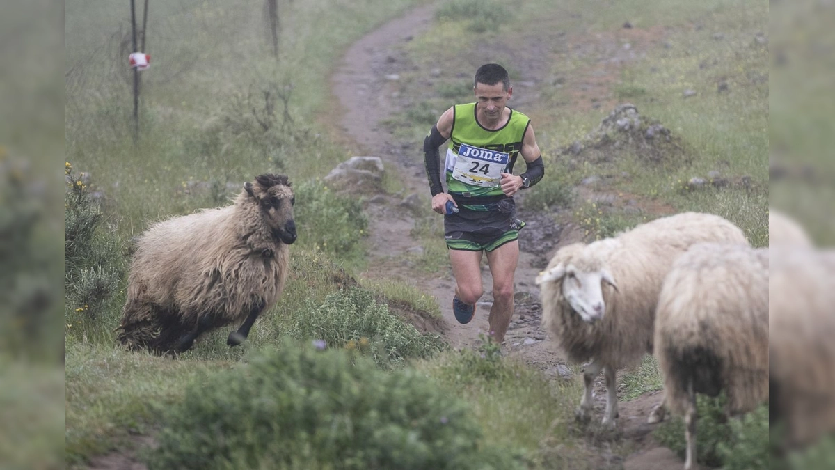 Apertura de Inscripciones para la Carrera "Entre Cortijos" en Gran Canaria: Nuevas Distancias y Puntuación Sky Fecamon Tour 2023