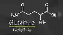 Glutamina: Beneficios en Recuperación Muscular y Salud Digestiva según Virginia Pérez