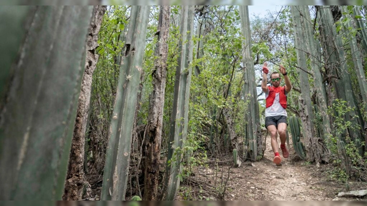 Consejos para correr más rápido cuesta abajo en senderos utilizando habilidades mentales