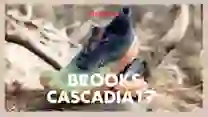 🎥 Review de las nuevas Cascadia 17 de Brooks: la zapatilla más deseada por los corredores de Brooks