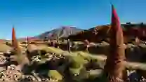 Tenerife Bluetrail 2027: Inscripciones Agotadas para Pruebas de 110 y 82 km en el Parque Natural del Teide del 8 al 10 de Abril