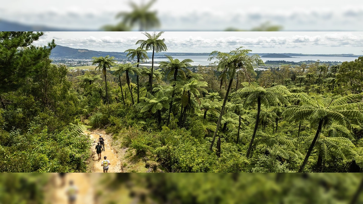 100M TMiler: Tarawera Ultra-Trail by UTMB