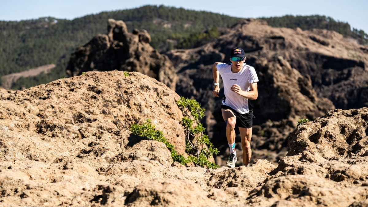 Ataque a Ultracorredor Tom Evans: Solidaridad ante Inseguridad en la Ultra Trail Cape Town de 100 km